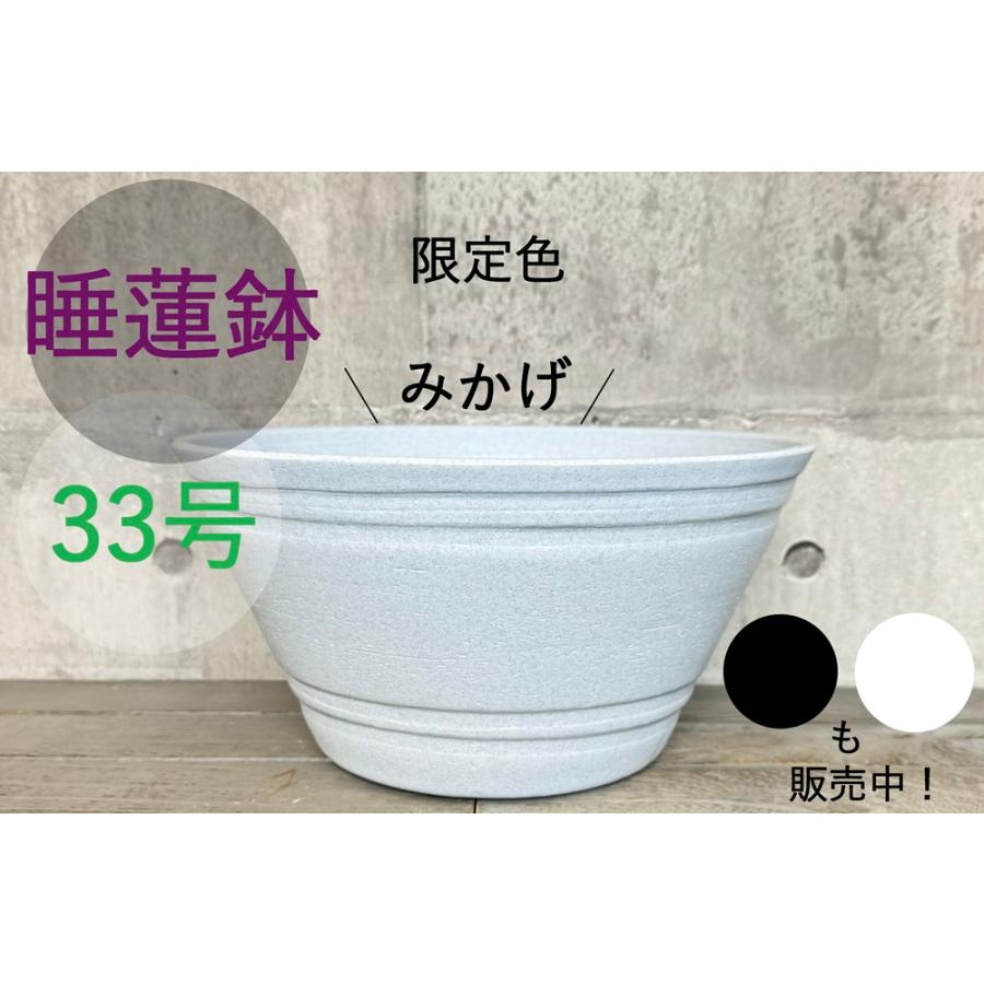 睡蓮鉢(メダカ鉢) プラスチック製 33号 : MEIWACO Yahoo 睡蓮鉢(メダカ鉢) プラスチック製 33号 : MEIWACO Yahoo