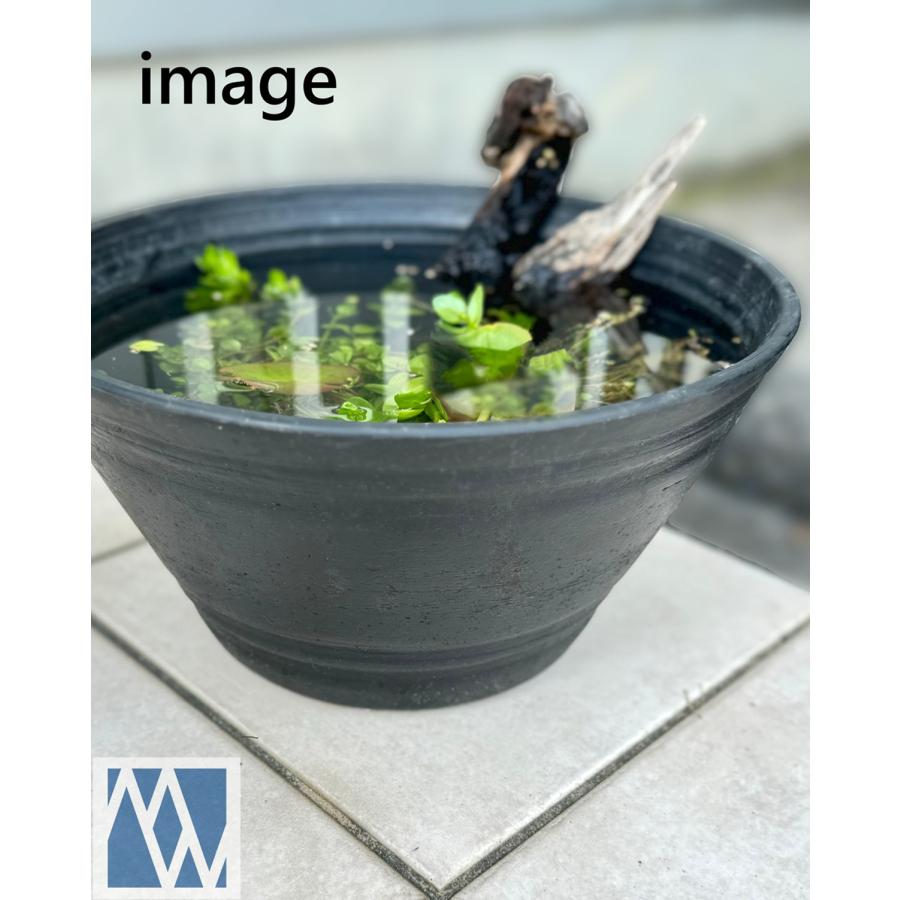 睡蓮鉢(メダカ鉢) プラスチック製 33号 : MEIWACO Yahoo 睡蓮鉢(メダカ鉢) プラスチック製 33号 : MEIWACO Yahoo