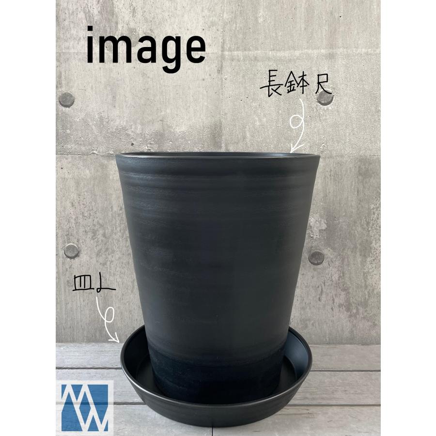 植木鉢 プラ鉢 受皿 セラアート 皿 L : MEIWACO Yahoo!ショップ - 通販