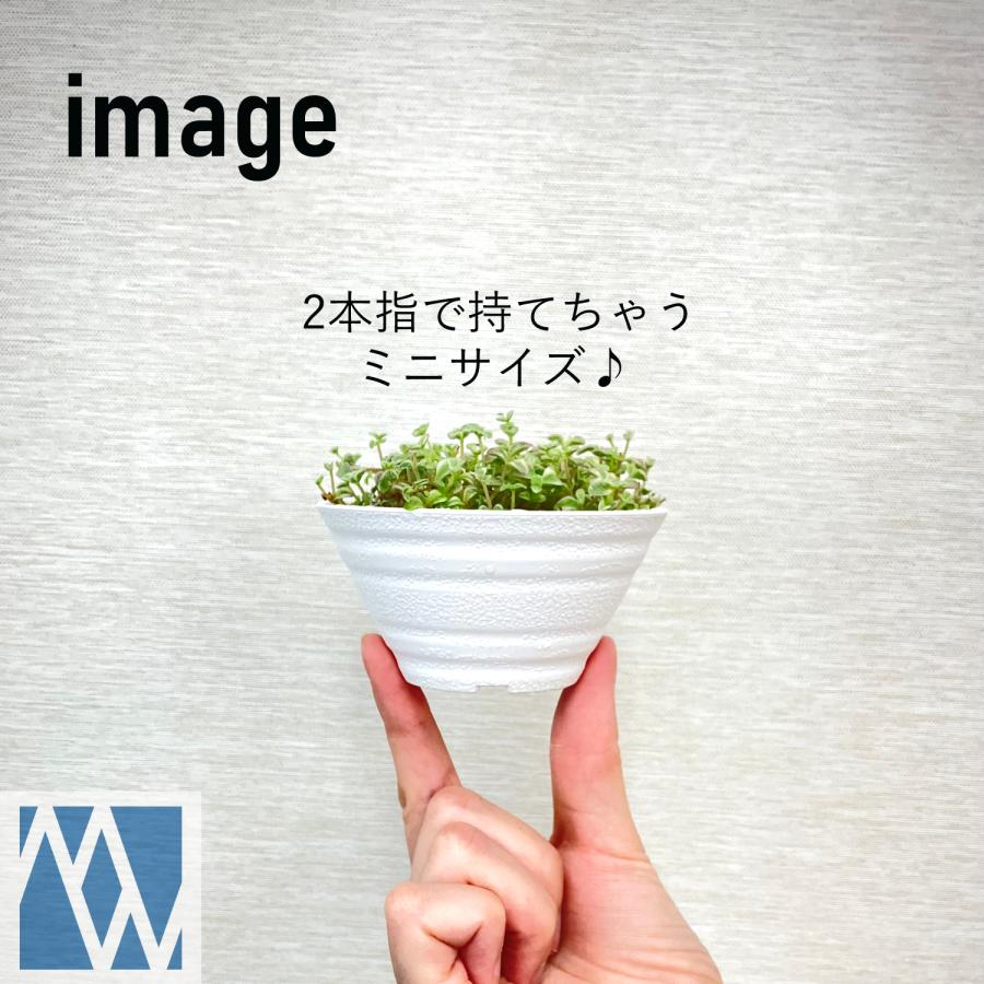 植木鉢 プラ鉢 セラアート 平鉢 9号 50鉢セット : MEIWACO Yahoo