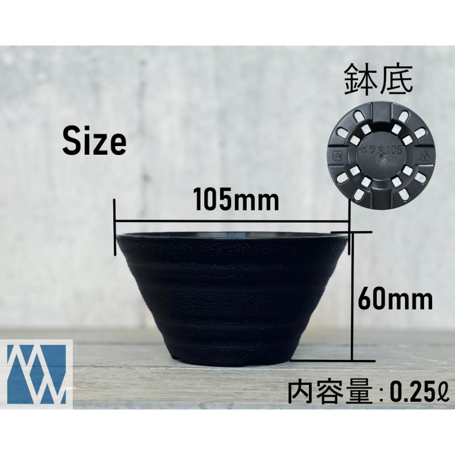 植木鉢 プラ鉢 セラアート 平鉢 10.5号 10鉢セット 色アソート可