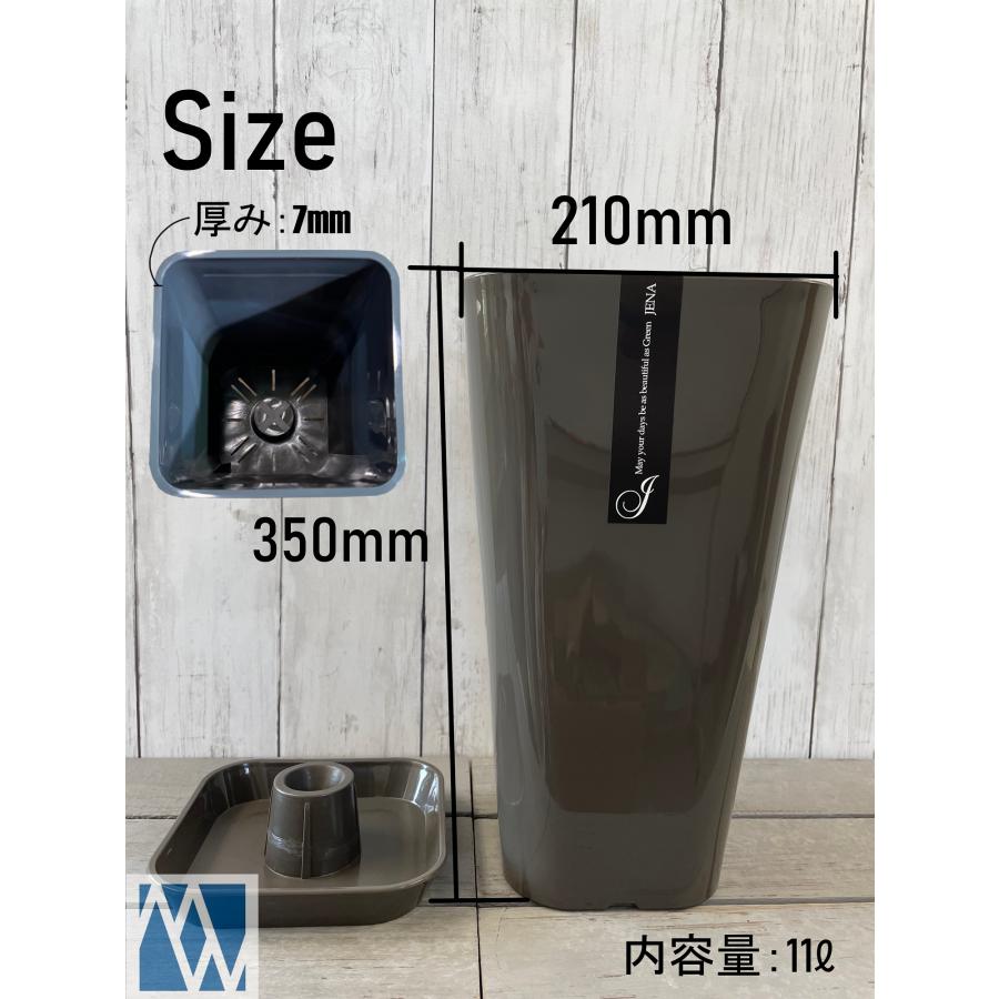 珍品 特大 水鉢 大鉢 花器 大皿 作者不明 直径63cm オブジェ 41rSIVAOYxL._SS200_.jpg