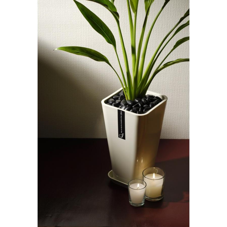植木鉢 プラ鉢 観葉植物 Jena 8号 皿セット : MEIWACO Yahoo 植木鉢 プラ鉢 観葉植物 Jena 8号 皿セット : MEIWACO Yahoo