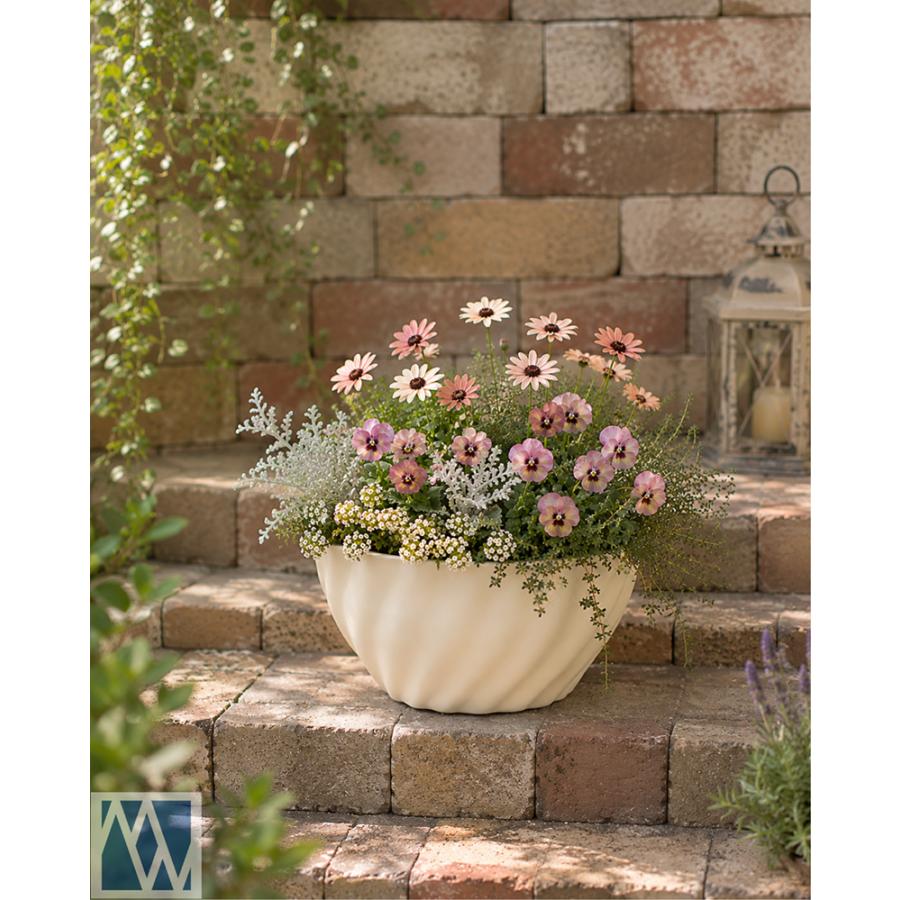 植木鉢 プラスチック製 ボール鉢 軽量 7号 21cm 2鉢セット : MEIWACO