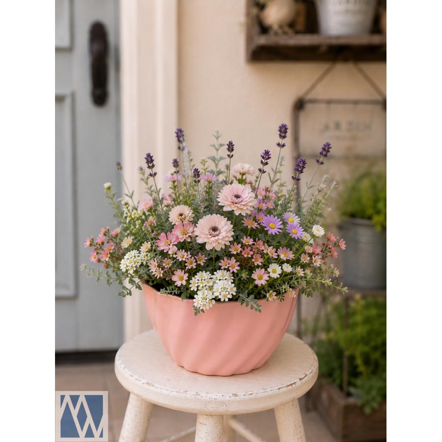 植木鉢 プラスチック製 ボール鉢 軽量 7号 21cm 2鉢セット : MEIWACO