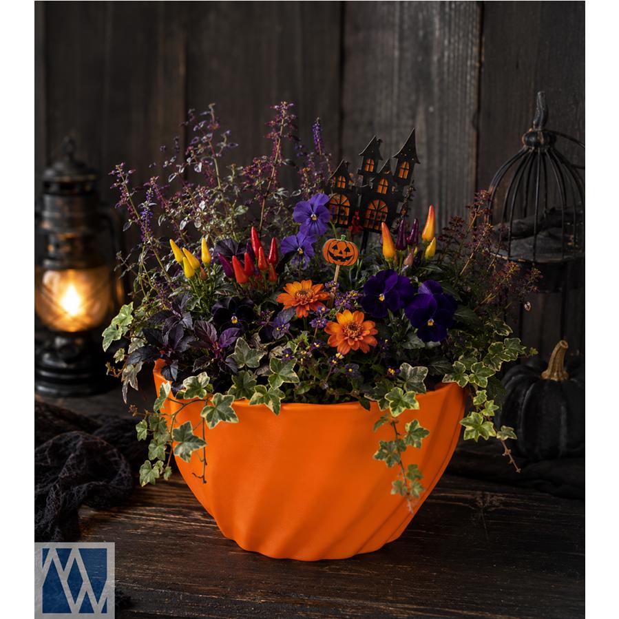 植木鉢 プラスチック製 ボール鉢 軽量 7号 21cm 2鉢セット : MEIWACO
