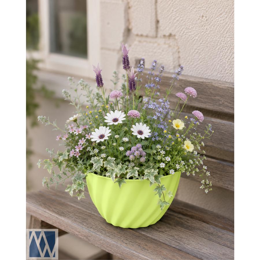 植木鉢 プラスチック製 ボール鉢 軽量 7号 21cm 2鉢セット : MEIWACO