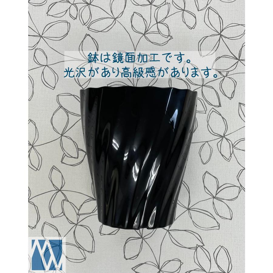 植木鉢 プラ鉢 Twistロング 6号 皿セット : MEIWACO Yahoo!ショップ