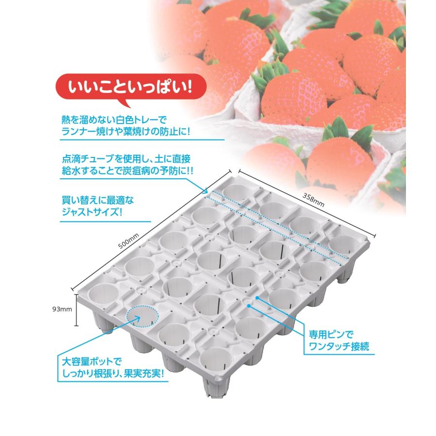 苺priん様オーダーページ 苺priん様オーダーページ 苺priん様オーダーページ - メルカリ