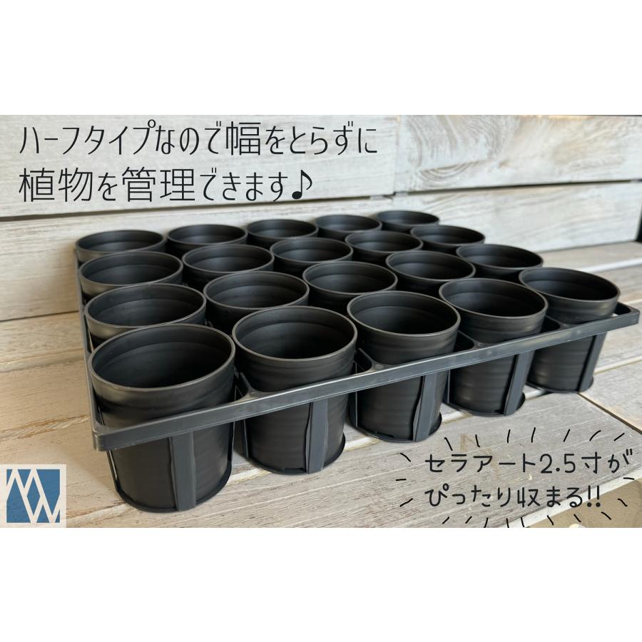 トレー PTトレー 2.5寸 ハーフ 5枚セット : MEIWACO Yahoo!ショップ