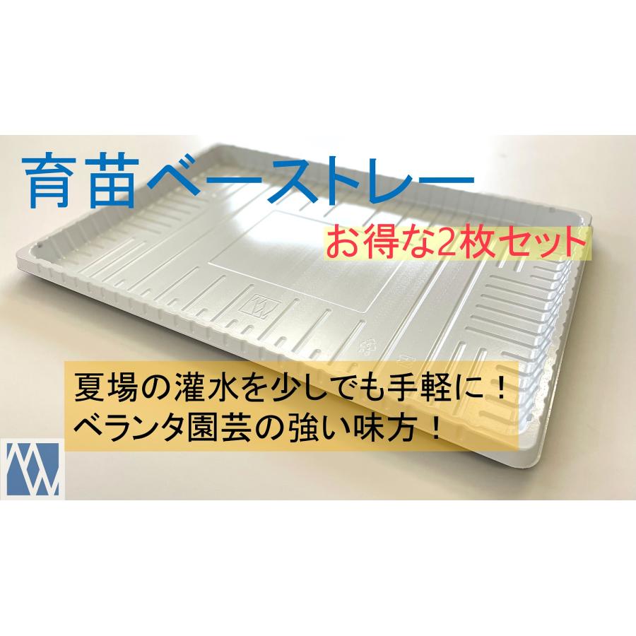 トレー 灌水 育苗ベーストレー 2枚セット : MEIWACO Yahoo!ショップ