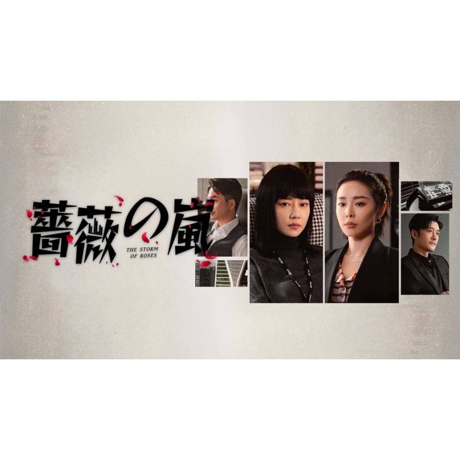 日本語字幕 中国ドラマ 華ドラ「薔薇の嵐」DVD Blu-ray BOX 全話収録