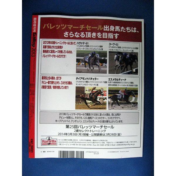 【永久保存版】Gallop2013 週刊ギャロップ臨時増刊｜meiwasyobou｜02