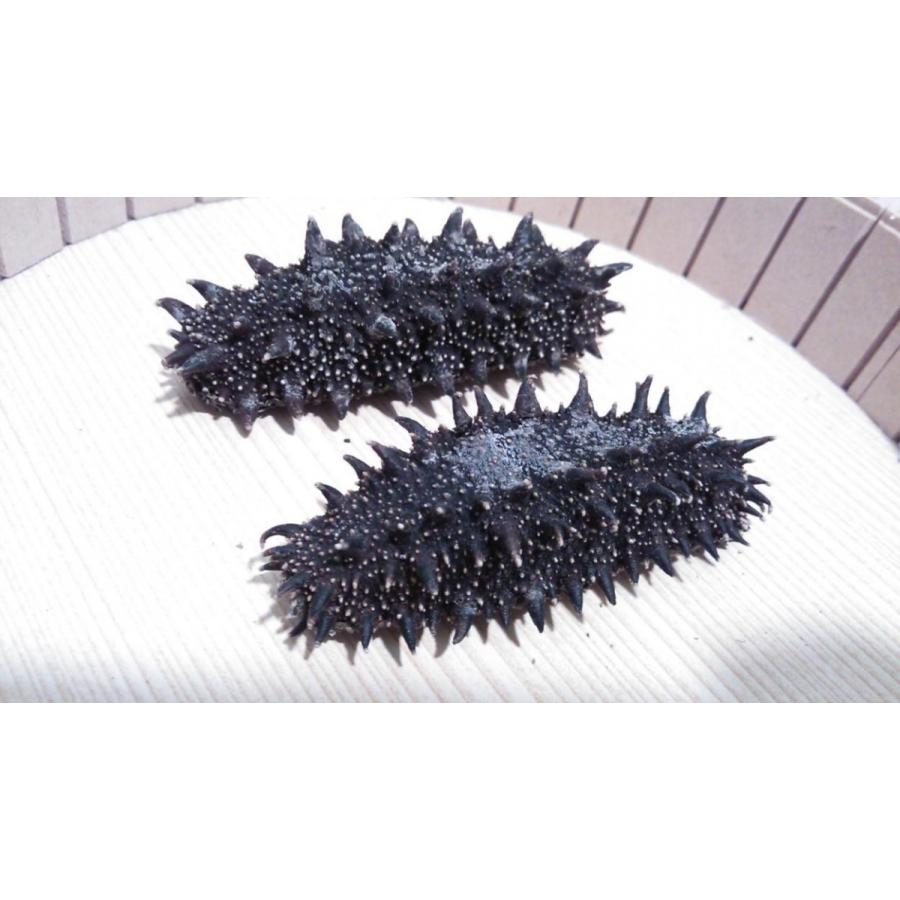 お試し北海道産ナマコ 特級a品m 1個入り 美顔堂なまこ 初回限定 Namako 02 美顔堂 通販 Yahoo ショッピング