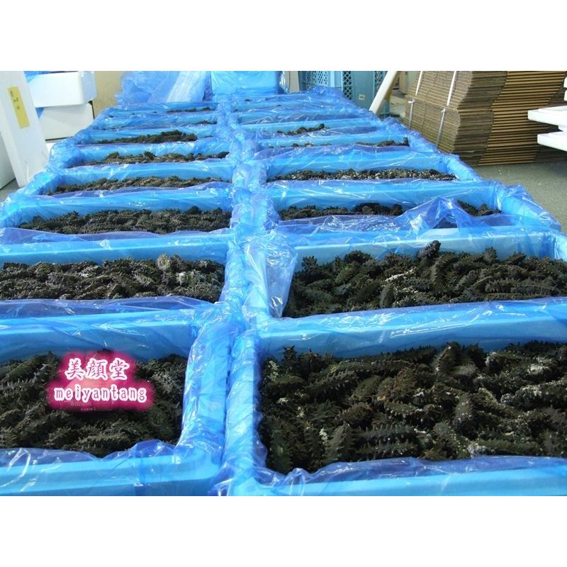 500g　北海道ナマコ　赤字セール在庫一掃 特A品M なまこ 海参 乾燥ナマコ 売切御免     商品情報    天然野生激安なまこ乾燥なまこナマコ酢石鹸旬サプリナマコの保存方法卵巣珍味なまこ屋や乾燥お土産海鼠海参干海参刺参刺身人気北海道日本お土産ギフトプレゼントお中元健康栄