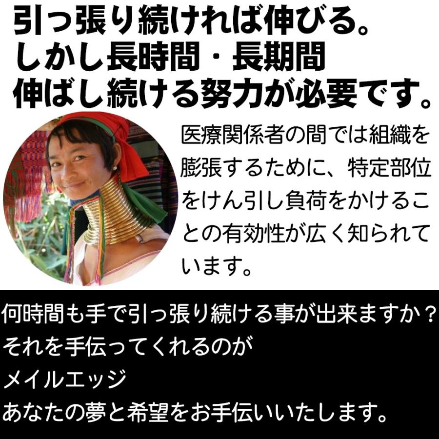 メイルエッジPRO+今だけ豪華特典【正規代理店・安心保証】 |  | 03