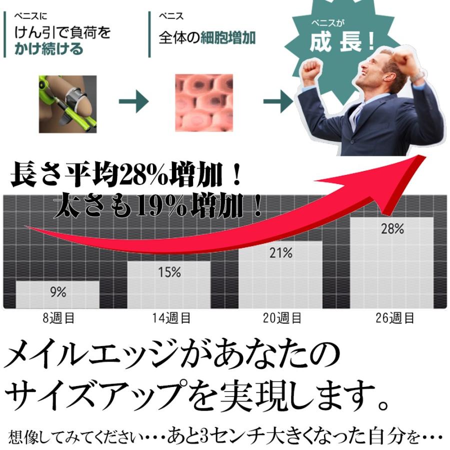 メイルエッジPRO+今だけ豪華特典【正規代理店・安心保証】 : SG