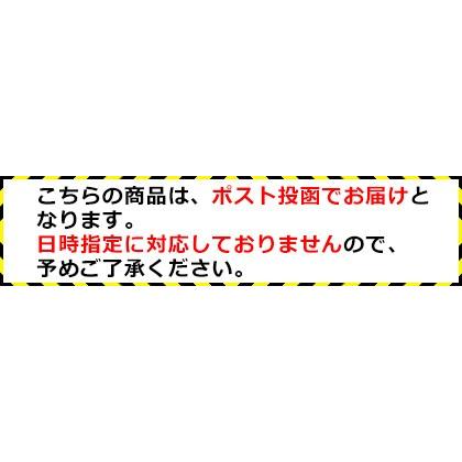 仮性包茎矯正リング 【カリバウアー ストロング ＆ ライト】 早漏防止 小さいサイズも対応 仮性包茎リング 磁気ペニスEDパワーリング 紛失防止ストラップ付 |  | 13
