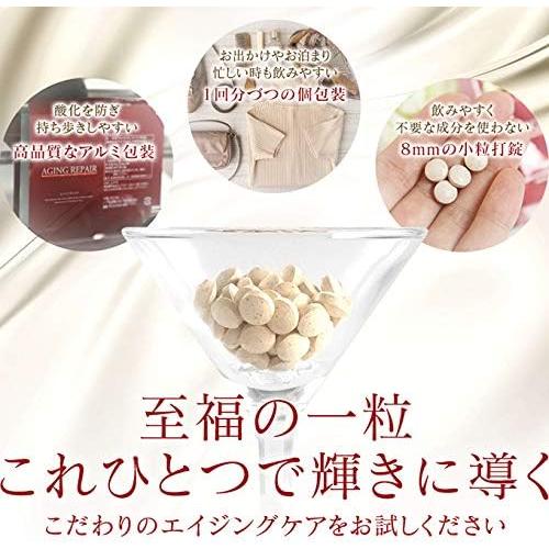 【公式】AGEST エイジスト インナービューティーサプリメント 1箱30包入り×3箱 馬プラセンタ プラセンタサプリ プラセンタ サプリメント |  | 05