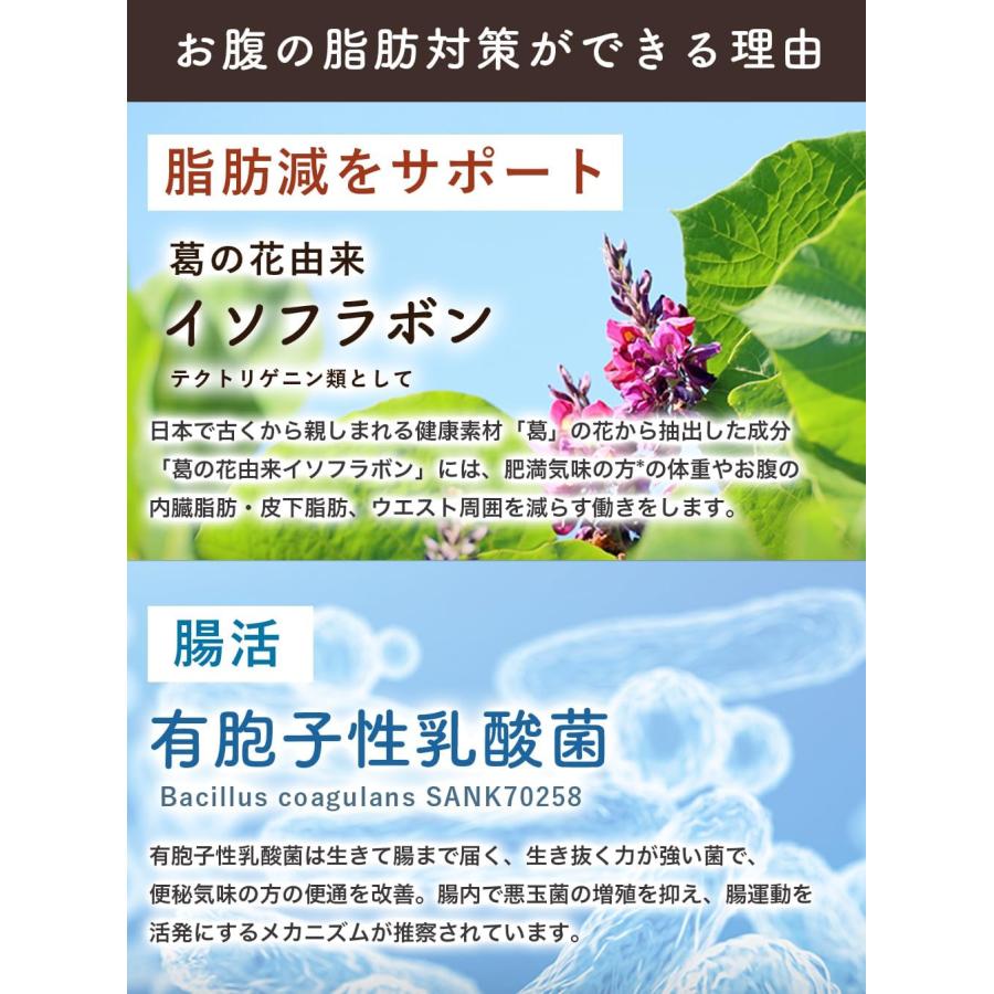 【公式】[機能性表示食品] C TEA チャコール ミルクティー 100g 炭 チャコール GABA テアニン ラフマ セイロン COFFEE シーコーヒー 有胞子性乳酸菌 脂肪 |  | 04