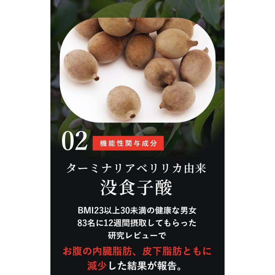 【公式】[機能性表示食品] C OOLONG TEA（シーウーロンティー）黒炭ウーロン 烏龍 チャコールティー ウーロン ダイエット ティー チャコール 便通改善 |  | 06