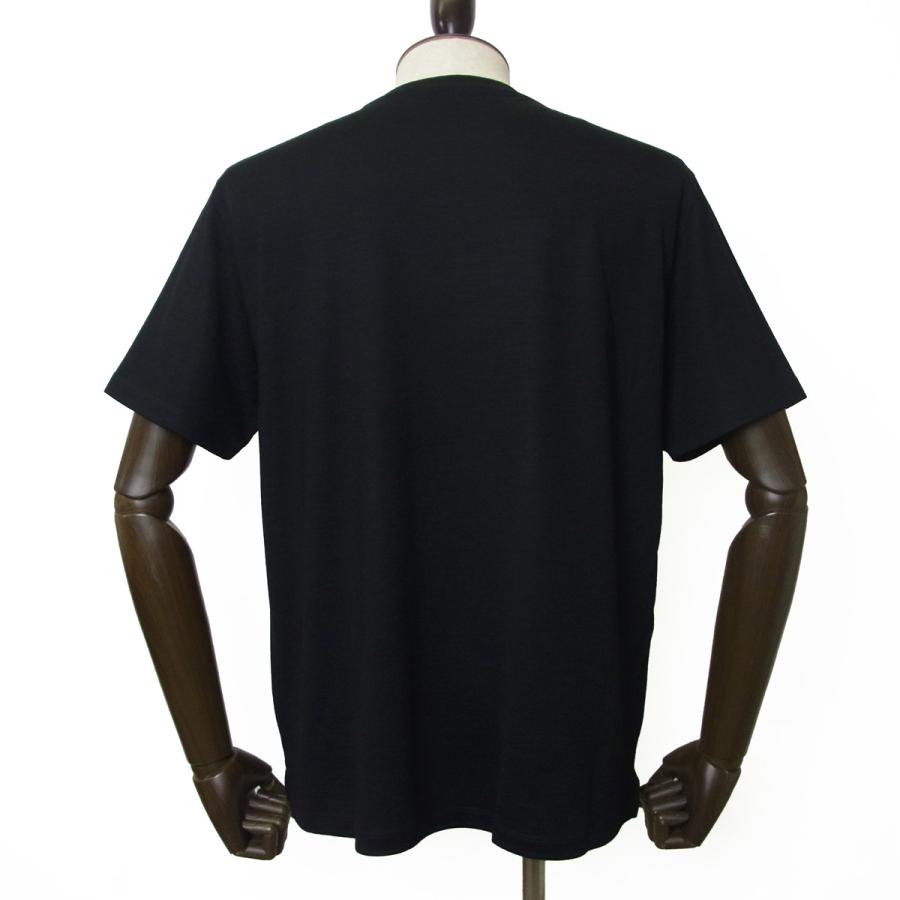 nomiamo ノミアモ ウォッシャブル ウール クルーネック Tシャツ 通年用 