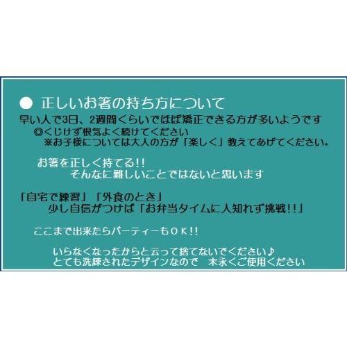 爆安プライス 矯正箸 正しいお箸の持ち方 しつけ箸 子供箸 漆塗り 子ども箸 小学生向き 右手 18cm 箸使い トレーニング 教え方 どや顔サミット 品格 Fleckscore Com