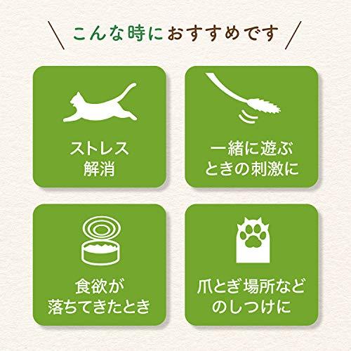 猫用 天然 100％ マタタビ 乾燥 枝 おもちゃ しつけ つめとぎ 無添加 安心 九州産 (10ｇ)｜meki5｜04