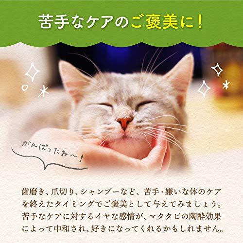 猫用 天然 100％ マタタビ 乾燥 枝 おもちゃ しつけ つめとぎ 無添加 安心 九州産 (10ｇ)｜meki5｜05