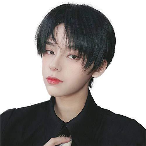 玄関先迄納品 メンズアクセサリー Hua Si ウィッグ かつら メンズ ショート 男装 黒 男性 原宿 イケメン ハンサム 自然 小顔 耐熱 人気 ファッション ふわふわ イメチェン Www Threeriversofs Com