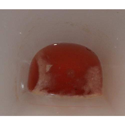 尿石除去剤 業務用 デオライト-L 1kg|meki|06