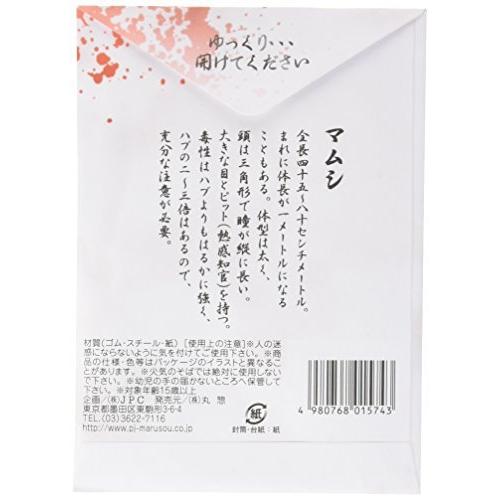 マムシの標本 S メキメキヤフーショップ 通販 Yahoo ショッピング