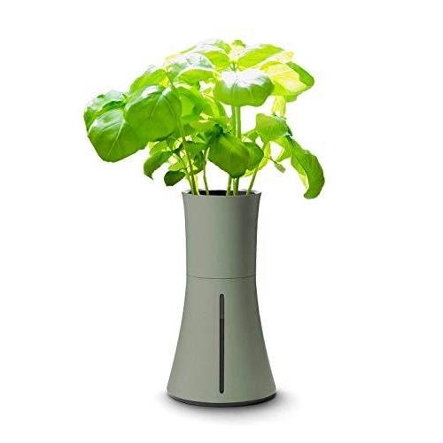 オープニング大放出セール Botanium ボタニアム 水耕栽培キット ローレルグリーン 大流行中 Raloffshore Com