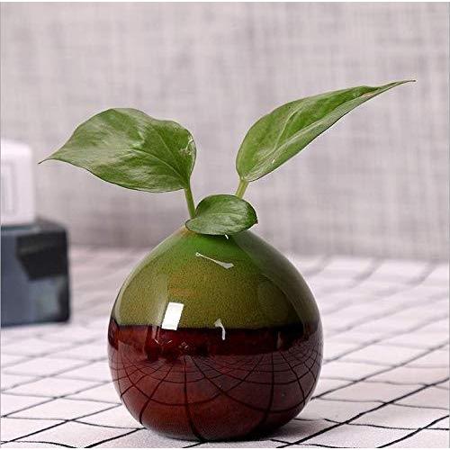 花瓶 一輪挿し ミニ花器 かびん 陶器 フラワーベース セラミック 小さい 鉢植えの植物 水栽培 フラワーポット 手芸 工芸品 クリエイティブ イン Cdid2shn5k 花瓶 花器 Clubhercules Com