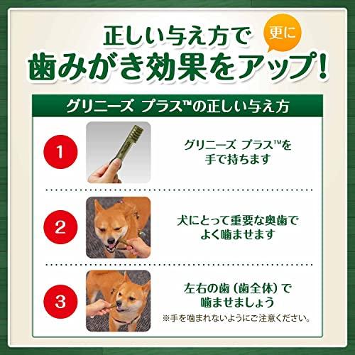 Greenies グリニーズ プラス 成犬用 超小型犬用 ミニ 1.3-4kg 60本 犬