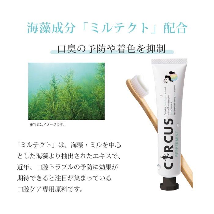 き歯磨き粉 天然由来 CIRCUS オーガニック ペースト ミント アップル 緑茶 50g キルクス 歯みがき ハミガキ はみがき粉 口臭予防 ホワイトニング｜melanin-shop｜16