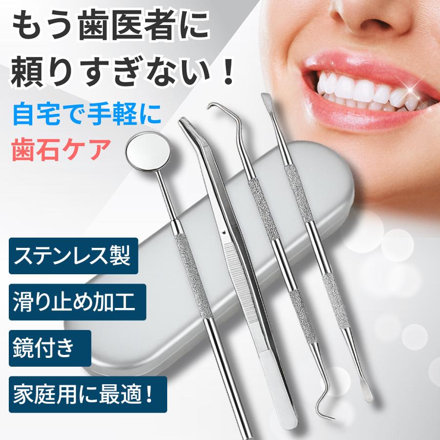 歯石取り 器具 自分で 歯石除去 自宅 スケーラー セット デンタルケア 犬 歯科 ヤニ ペット オーラルケア 口臭予防 の商品画像