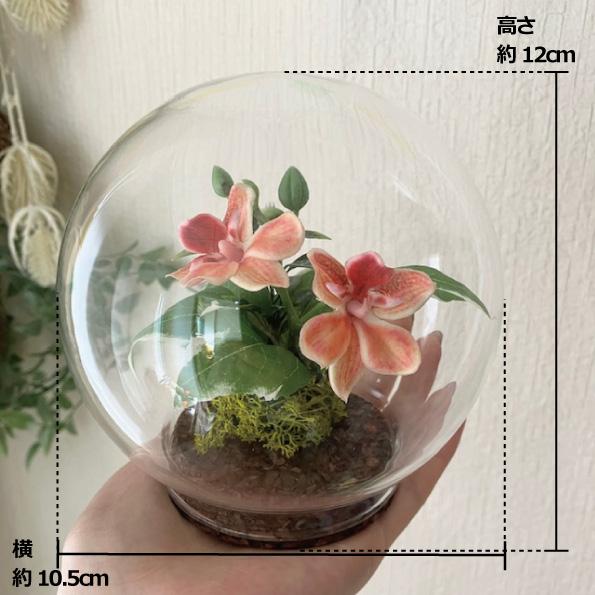 E-壁 昭和レトロ ボトルフラワー ガラスドーム ドライフラワー インテリア ボトルフラワー ガラスドーム 造花 花 インテリア 洗面所 受付