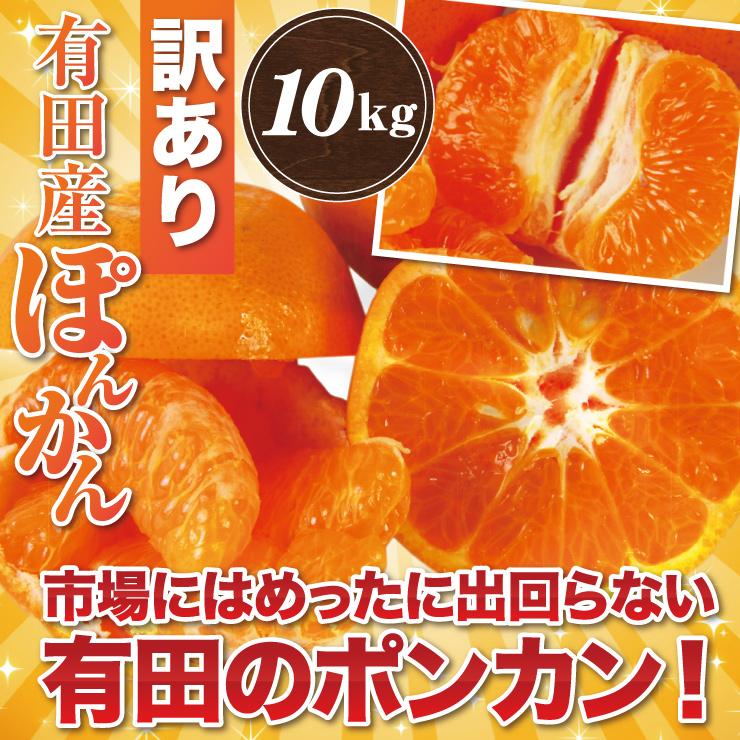 訳あり ぽんかん 10kg 産地直送 ポンカン 送料無料 和歌山 有田 自宅用