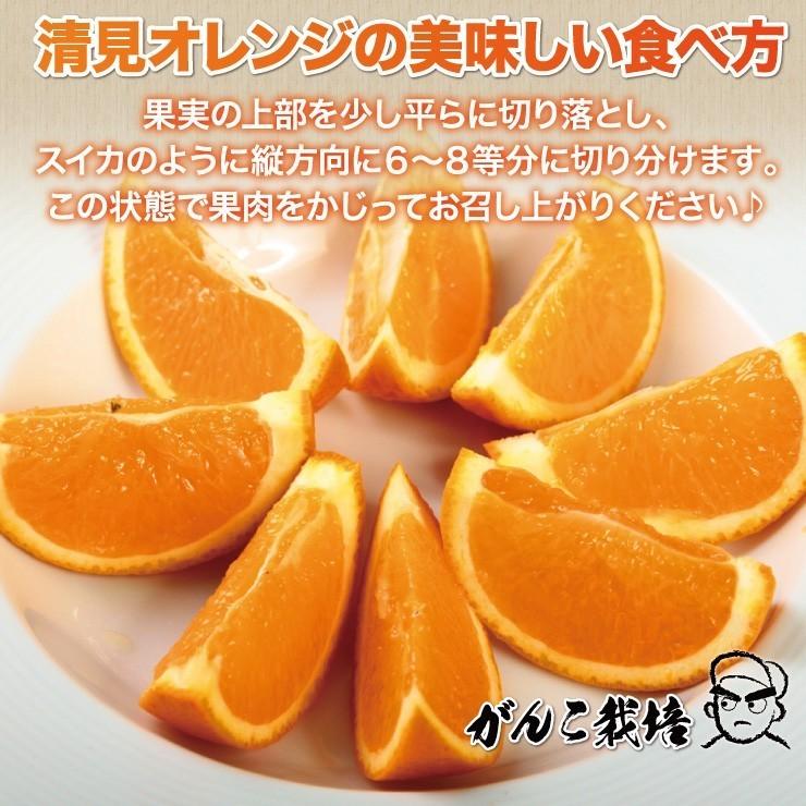 清美 訳あり オレンジ 8.0kg 果物 フルーツ 柑橘系 清見 きよみ 清美 訳あり オレンジ 8.0kg 果物 フルーツ 柑橘系 清見 きよみ