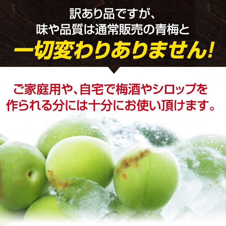 訳あり 青梅 紀州南高梅 完熟 2.5kg 2.5キロ 不揃い（M〜4L） 梅干し
