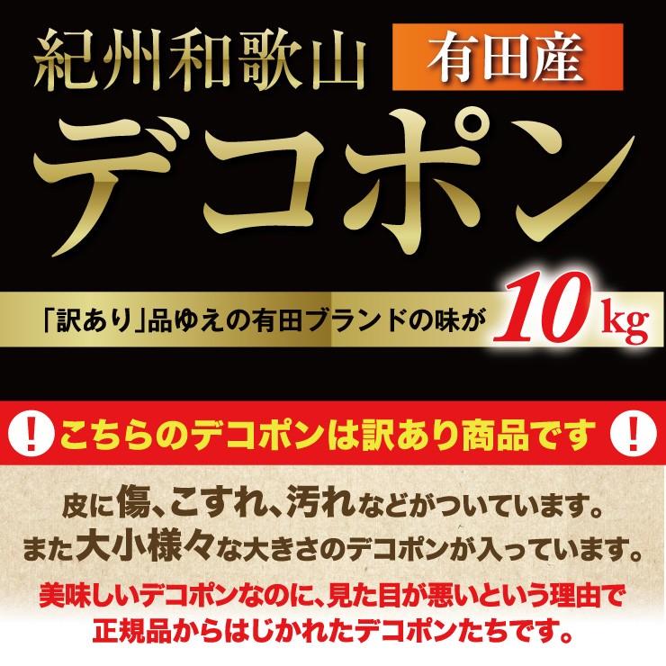 訳あり デコポン 10.0kg 無選別 ご家庭用 有田 箱買い 産地直送 送料