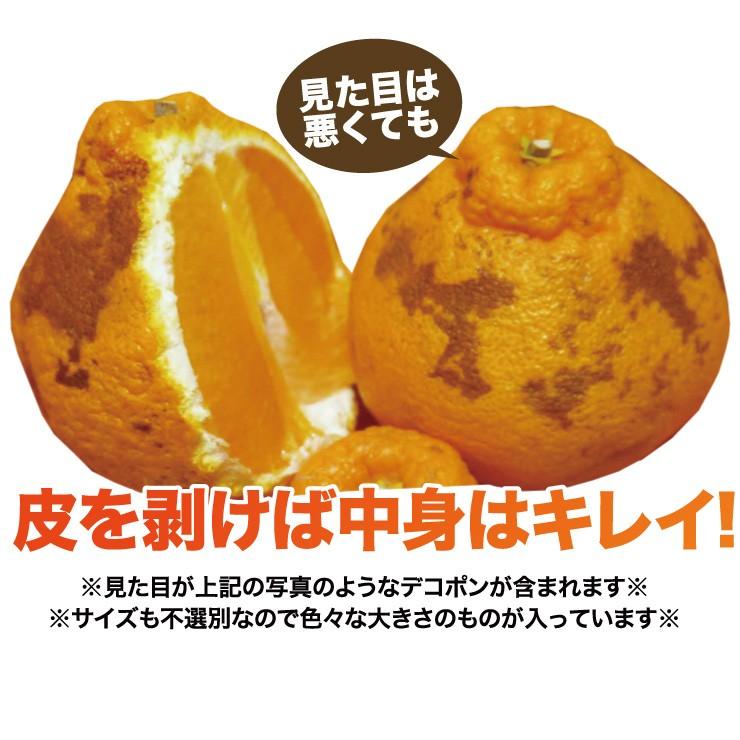 訳あり デコポン 10.0kg 無選別 ご家庭用 有田 箱買い 産地直送 送料