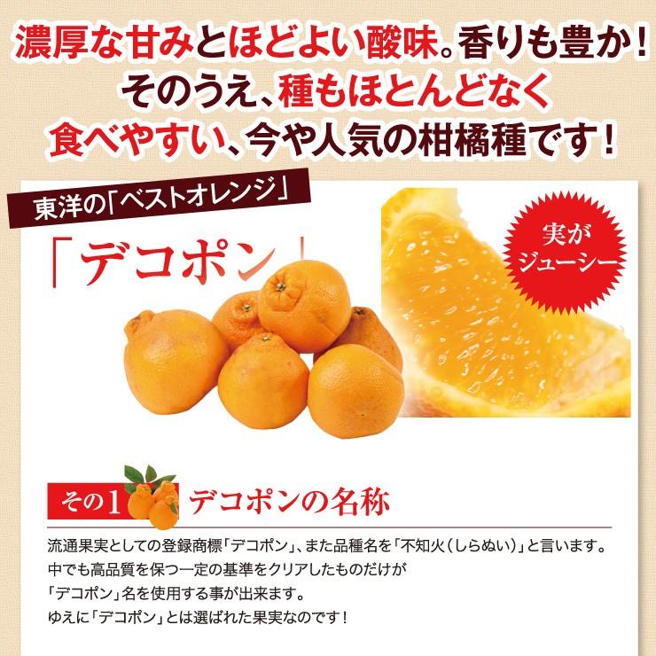 訳あり デコポン 10.0kg 無選別 ご家庭用 有田 箱買い 産地直送 送料