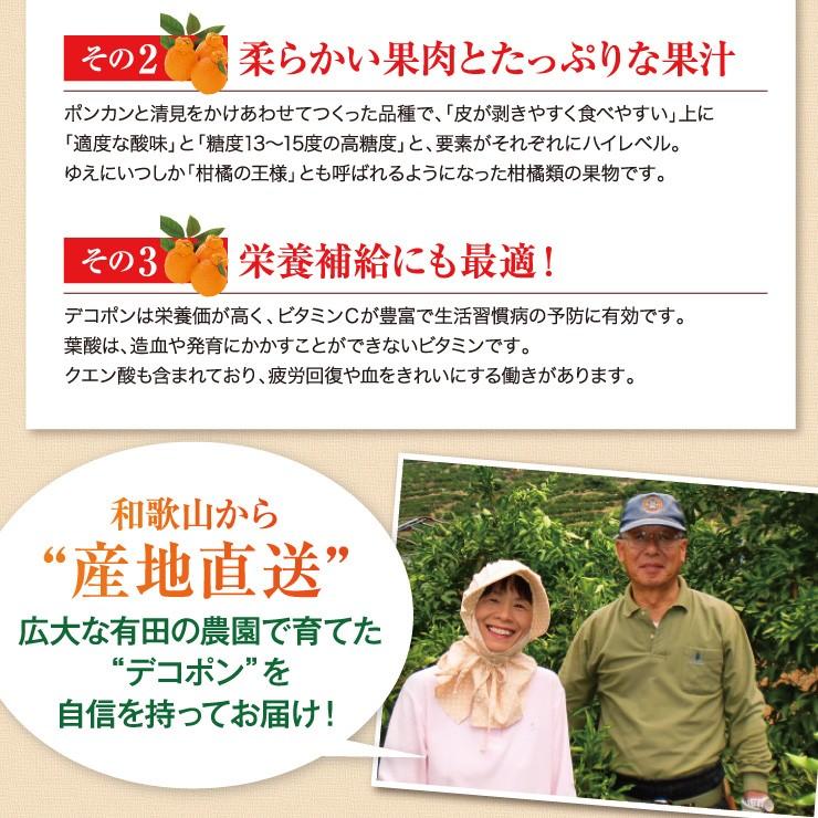 訳あり デコポン 10.0kg 無選別 ご家庭用 有田 箱買い 産地直送 送料