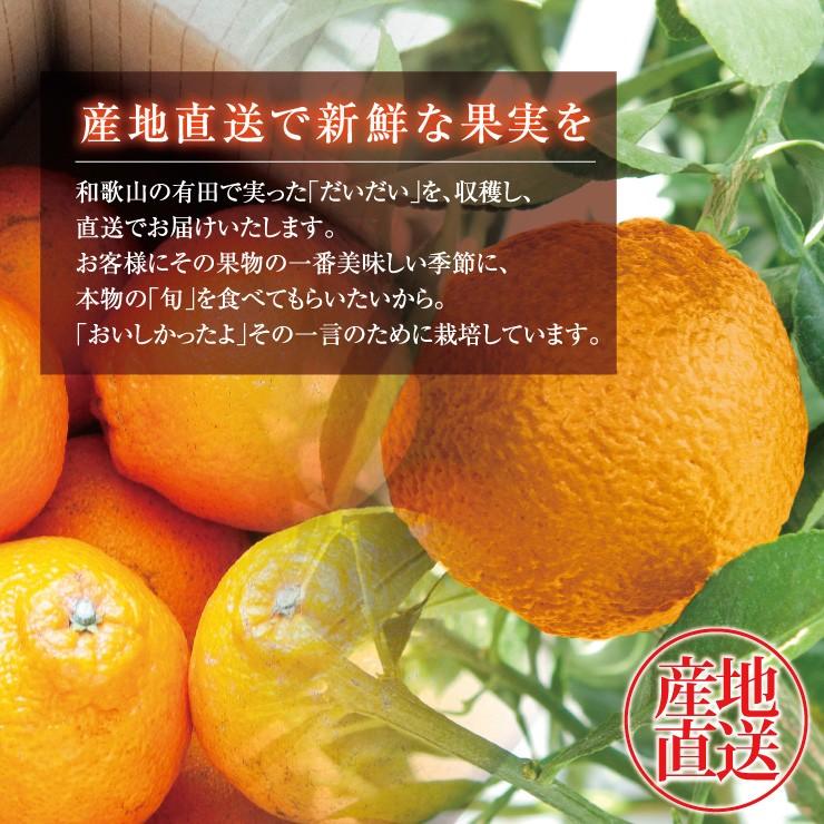 訳あり デコポン 10.0kg 無選別 ご家庭用 有田 箱買い 産地直送 送料