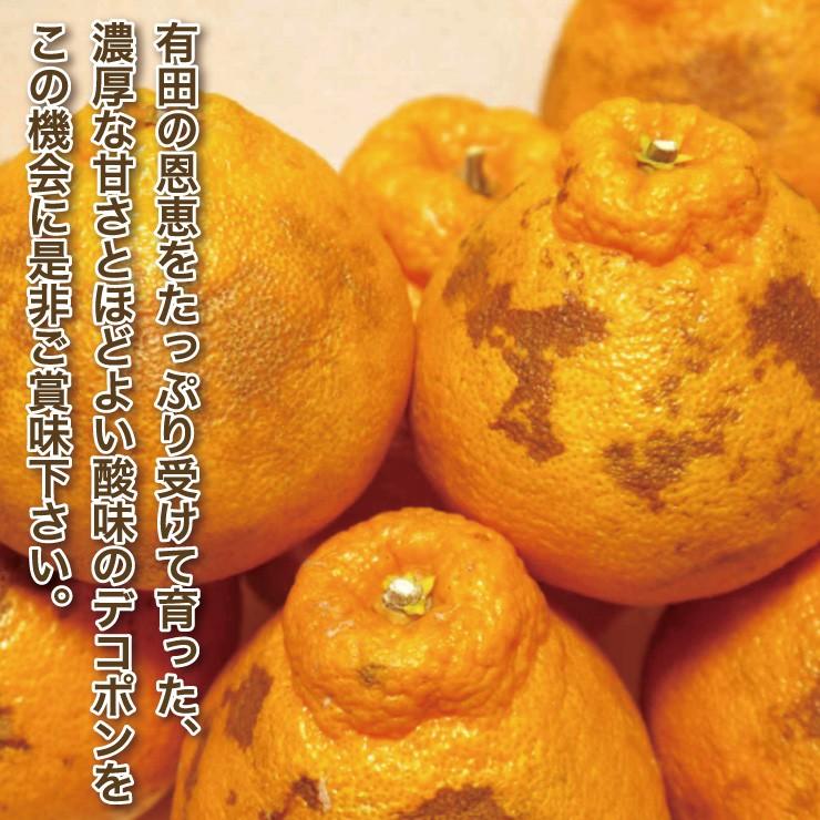 訳あり デコポン 10.0kg 無選別 ご家庭用 有田 箱買い 産地直送 送料