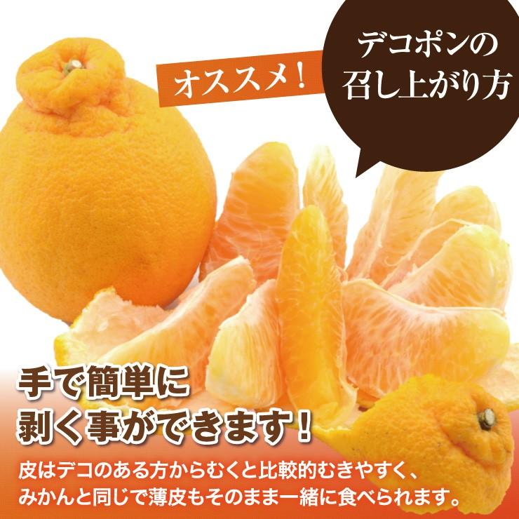 訳あり デコポン 10.0kg 無選別 ご家庭用 有田 箱買い 産地直送 送料