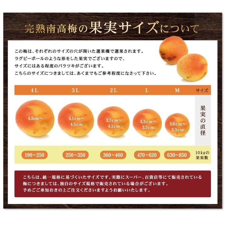 紀州南高梅 訳あり 完熟青梅 5.0kg 5キロ 不揃い（M〜3L） 梅干し