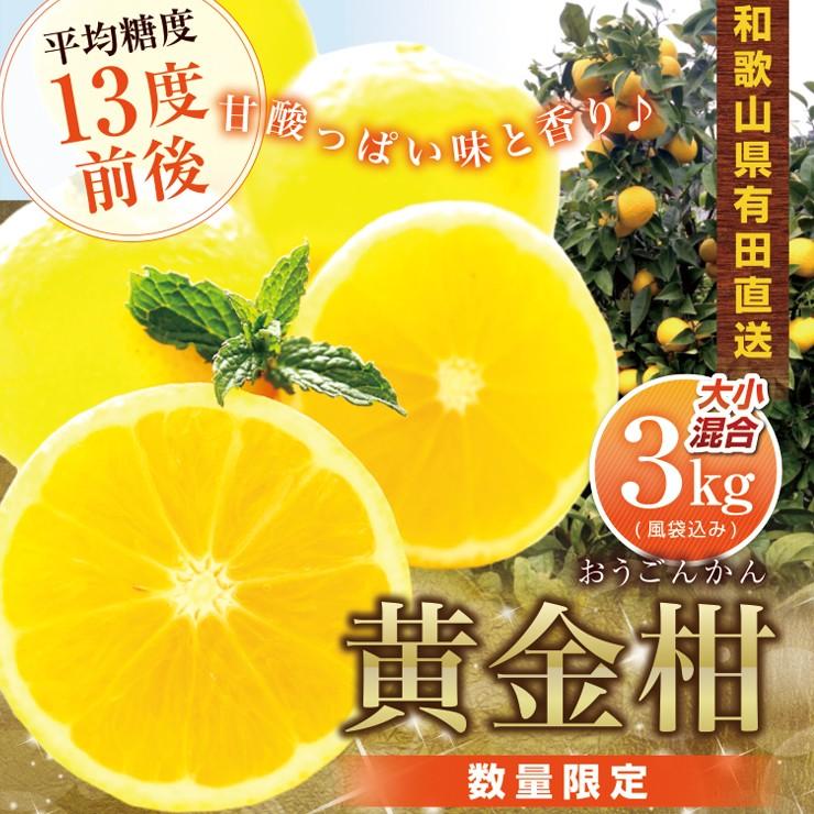 黄金柑 （おうごんかん） 3kg 和歌山 有田産 ゴールデンオレンジ 果物